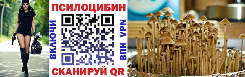 Галлюциногенные грибы Cubensis  Купить где  Ясногорск 