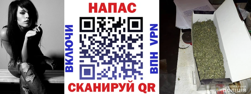 Шишки марихуана Amnesia  Купить где  Ясногорск 